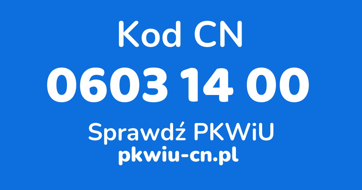 Wyszukiwarka kodów CN 0603 14 00, konwerter na kod PKWiU