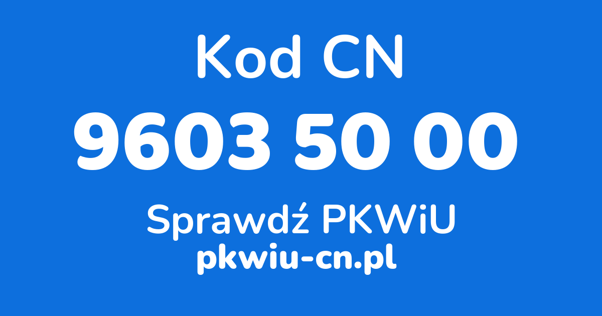 Wyszukiwarka kodów CN 9603 50 00, konwerter na kod PKWiU